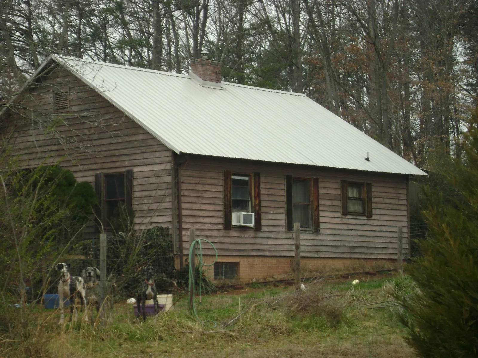 White metal roof on an old wood sided farmhouse, from a Asphalt Shingle Roof Repair job in Ojai